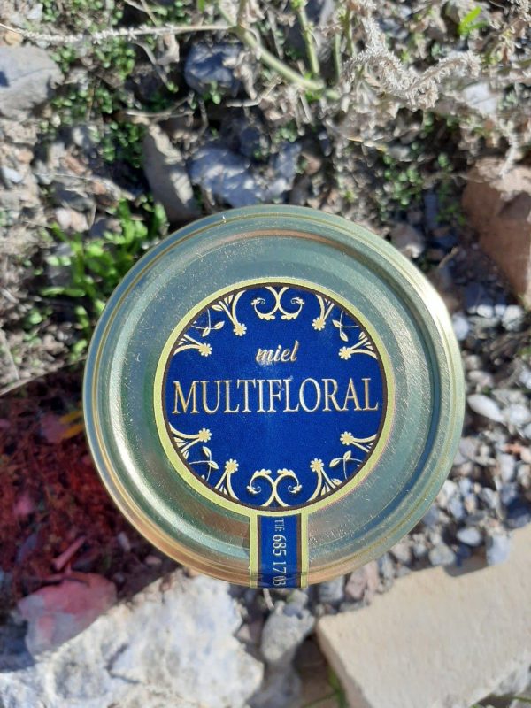 Miel Multifloral tarro cristal 1 kg